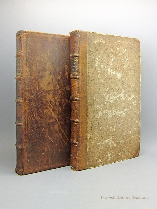 Das englische Gartenbuch, Oder Philipp Millers (Gärtners der