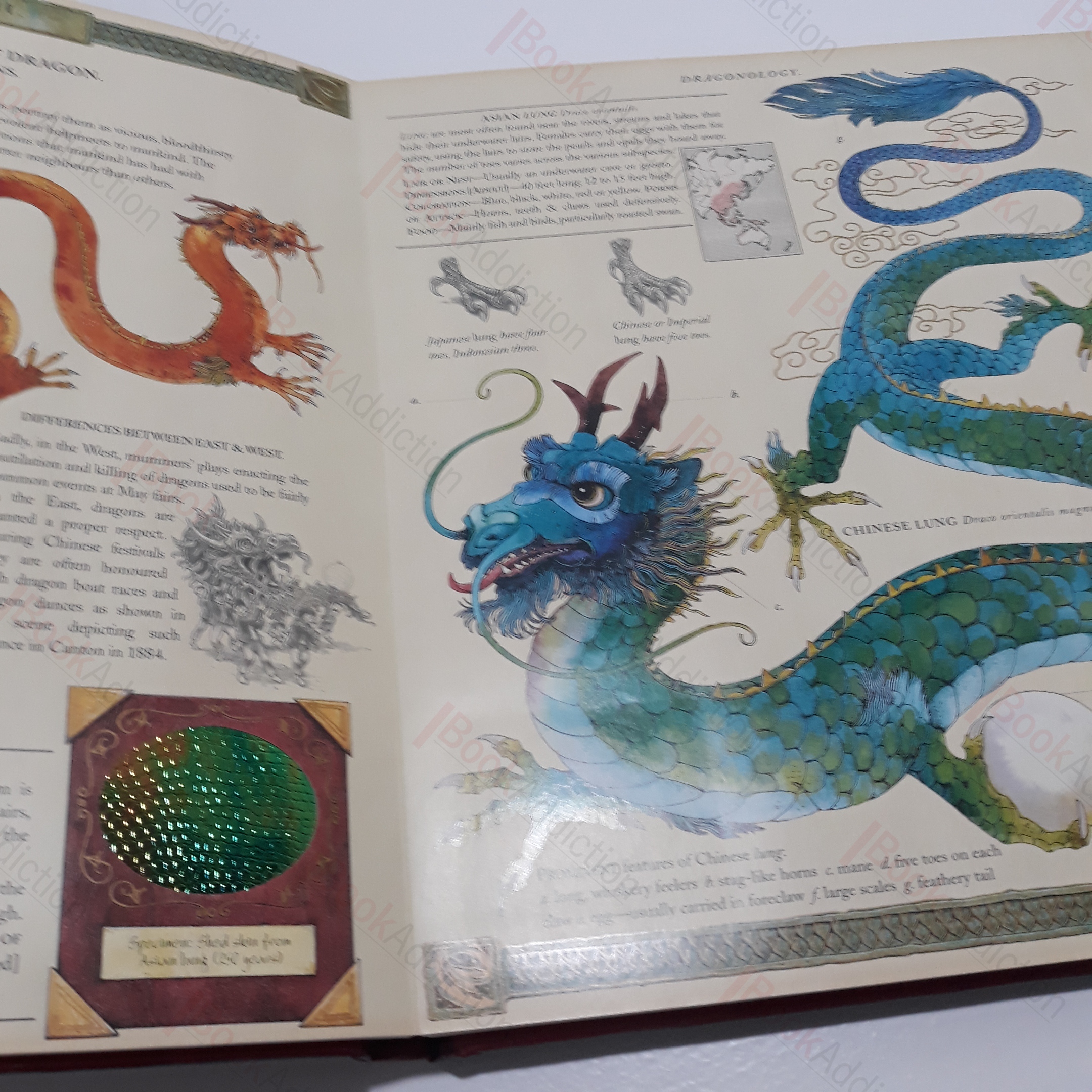 Dr Ernest Drake S Dragonology The Complete Book Of Dragons By Steer Dugald A Editor Very Good Hardcover 03 Bookaddiction Ibooknet Member