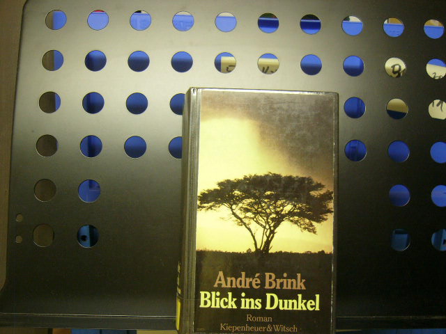 Blick ins Dunkel - Brink, Andre