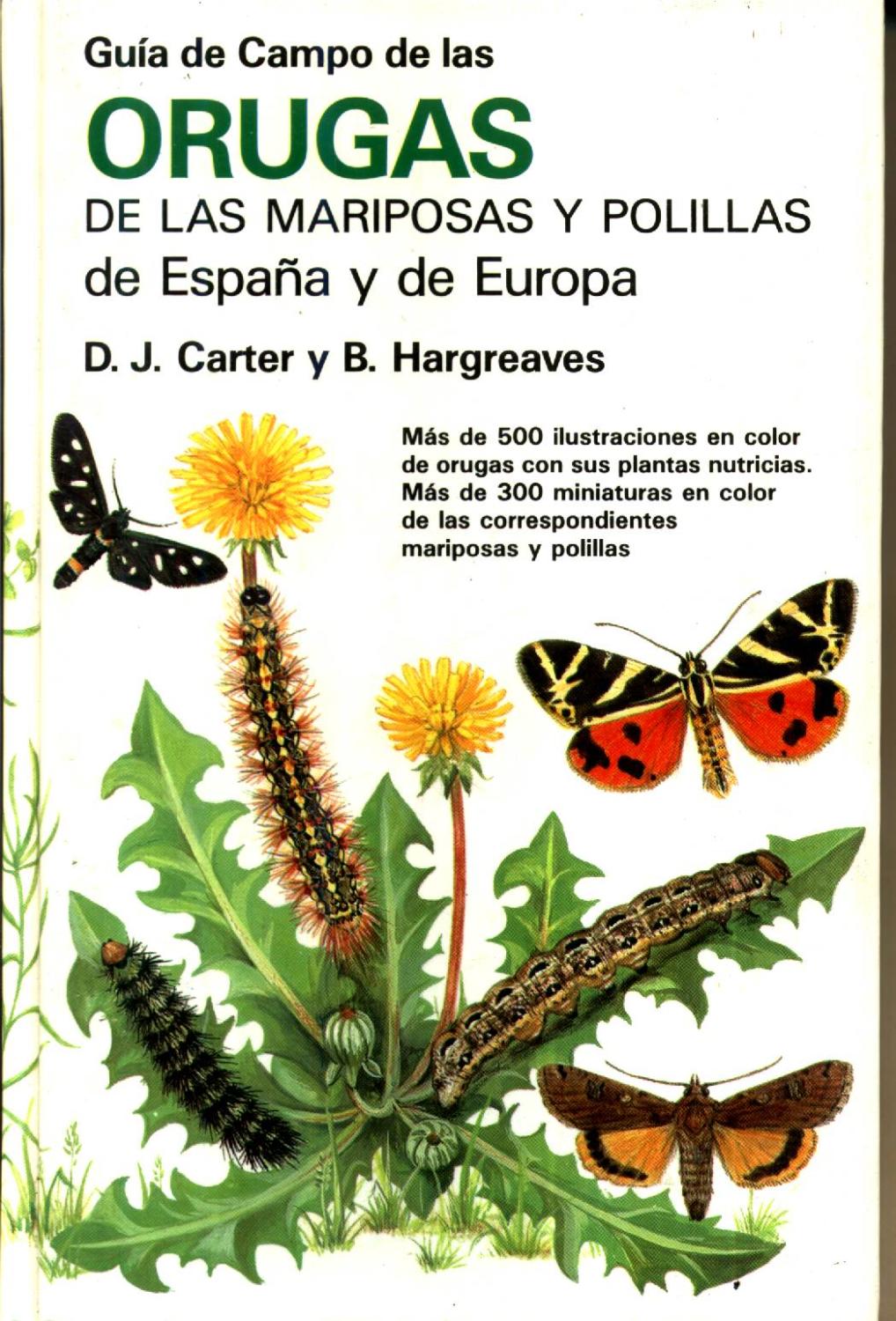 Guía de campo de orugas, mariposas y polillas de España y Europa - CARTER