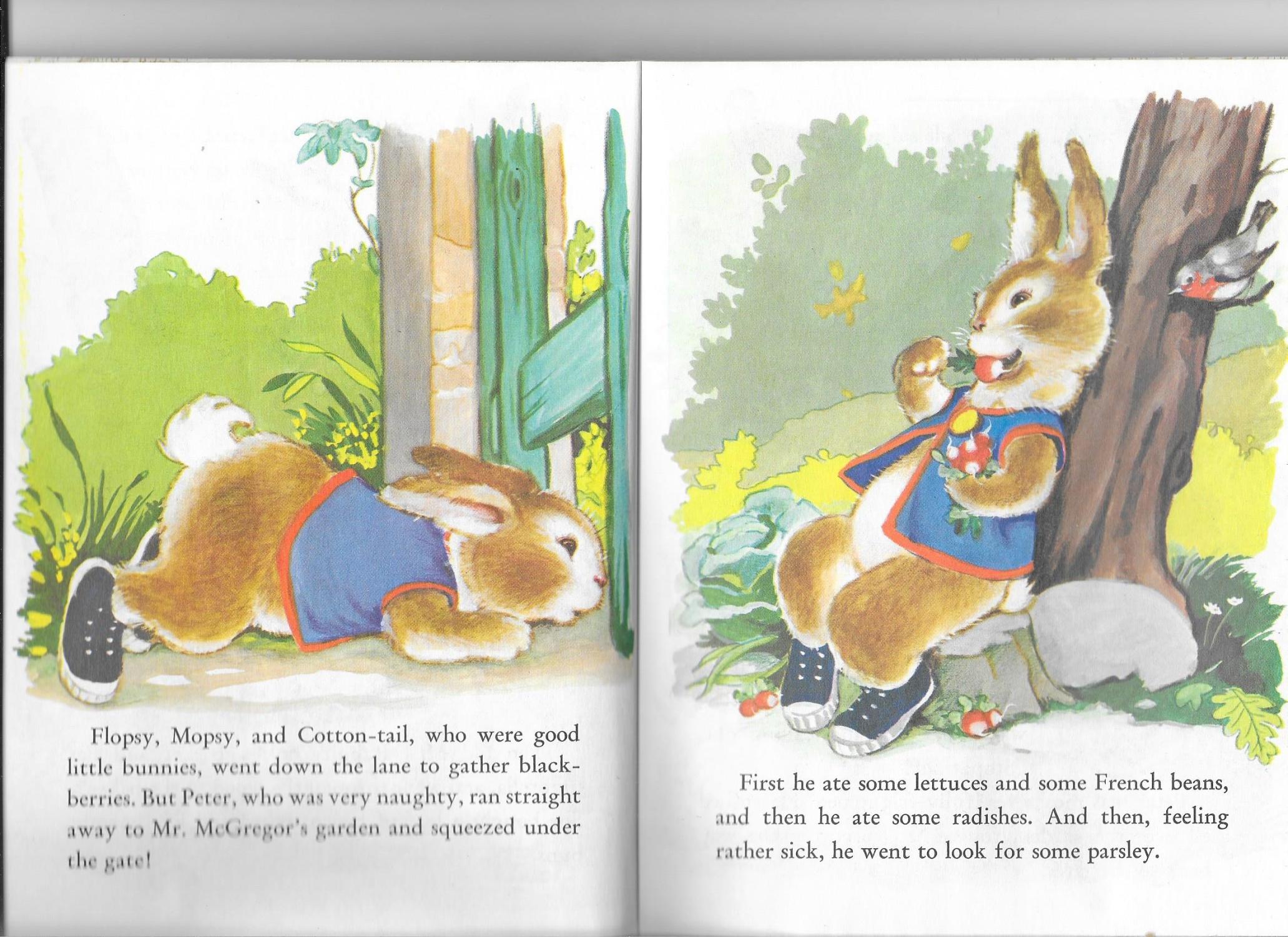 a book report on peter rabbit