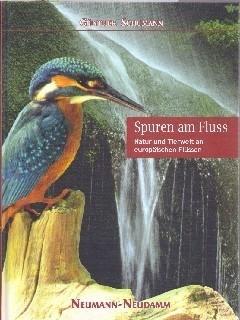 Spuren am Fluss - Schumann, Günther