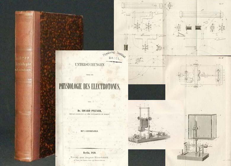 Untersuchungen über die Physiologie des Electrotonus. - PFLÜGER, Dr. Eduard;