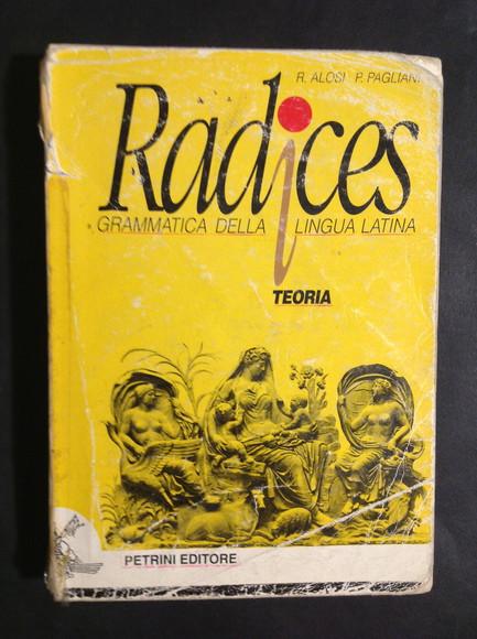 TEORIA RADICES GRAMMATICA DELLA LINGUA LATINA - RITA ALOSI, PIERA PAGLIANI