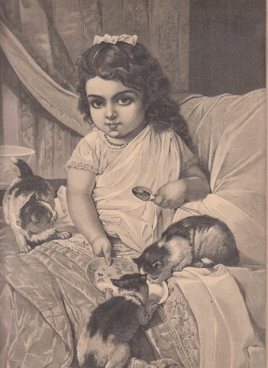 Morgenbesuch Kleines Mädchen Wird Im Bett Von 3 Hungrigen Kätzchen
