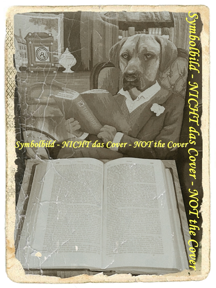 Die Ballade vom traurigen Cafe Novelle, aus dem Amerikanischen von E. Schnack - McCullers, Carson