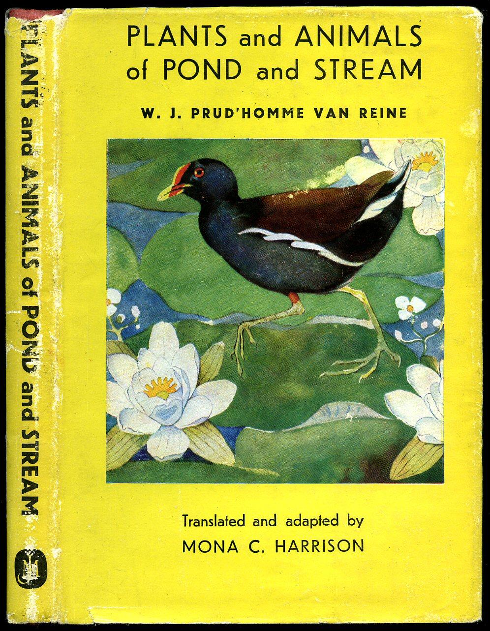 Plants and Animals of Pond and Stream; A Handy Guide Containing Drawings and Descriptions of over 500 Species of Plants, Insects, Fish, Birds, etc. P