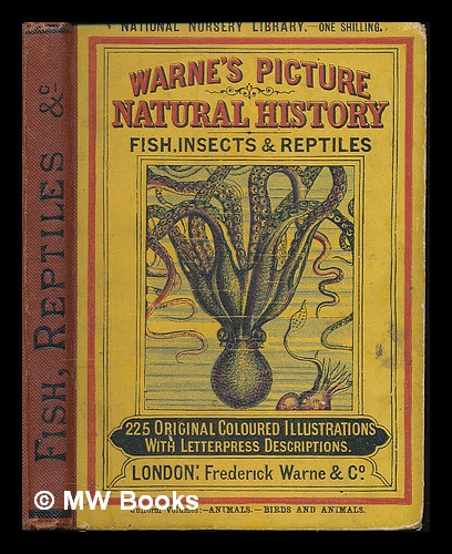 warne-s-picture-natural-history-fish-insects-and-reptiles-by-warner