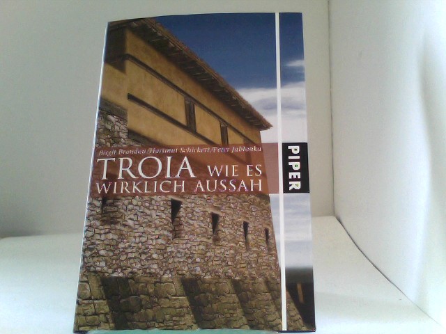 TROIA: Wie es wirklich aussah - Brandau, Birgit, Hartmut Schickert und Peter Jablonka