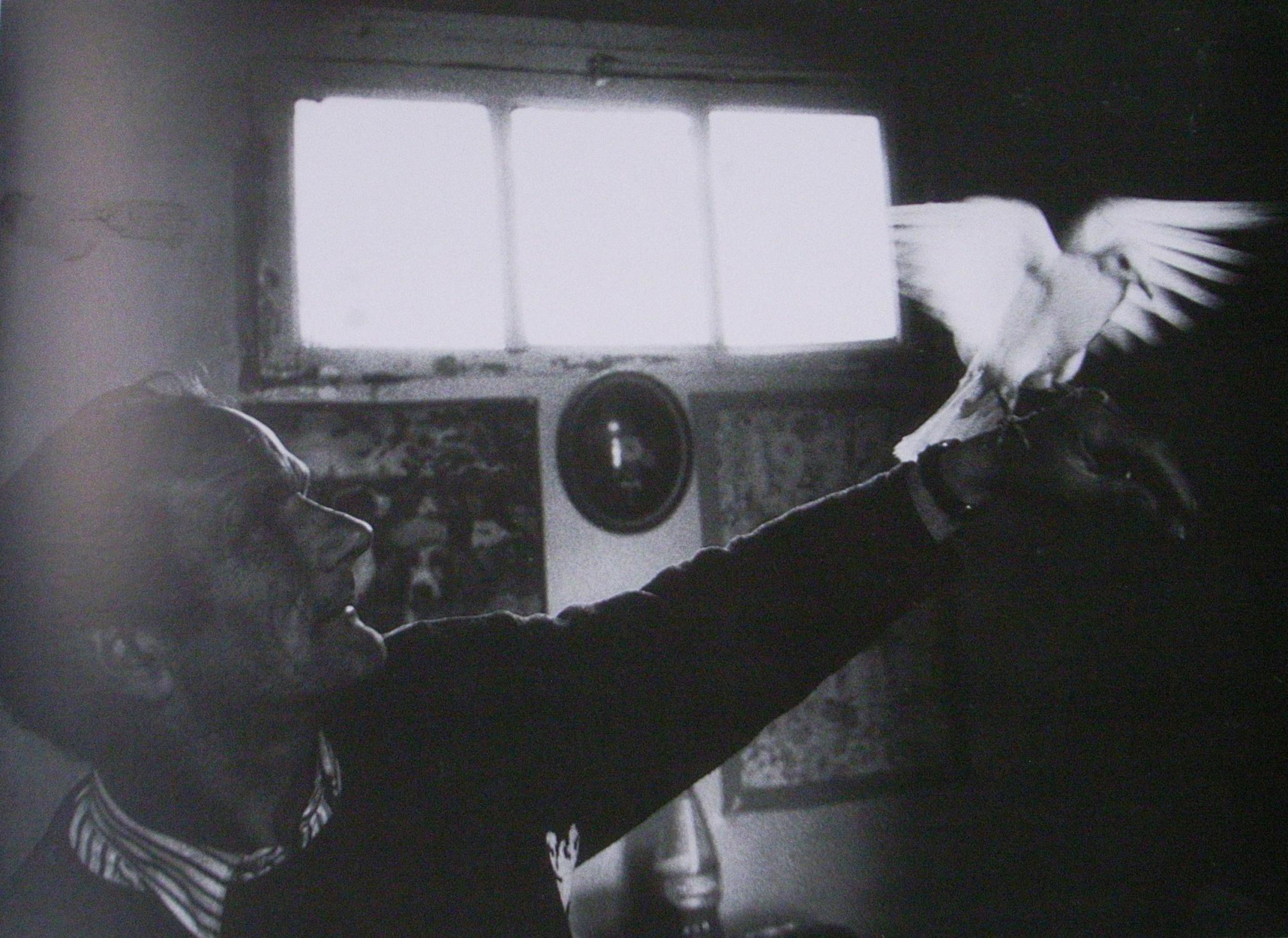 Jindrich Streit : Saint-Quentin (14 pohledu na okres, 14