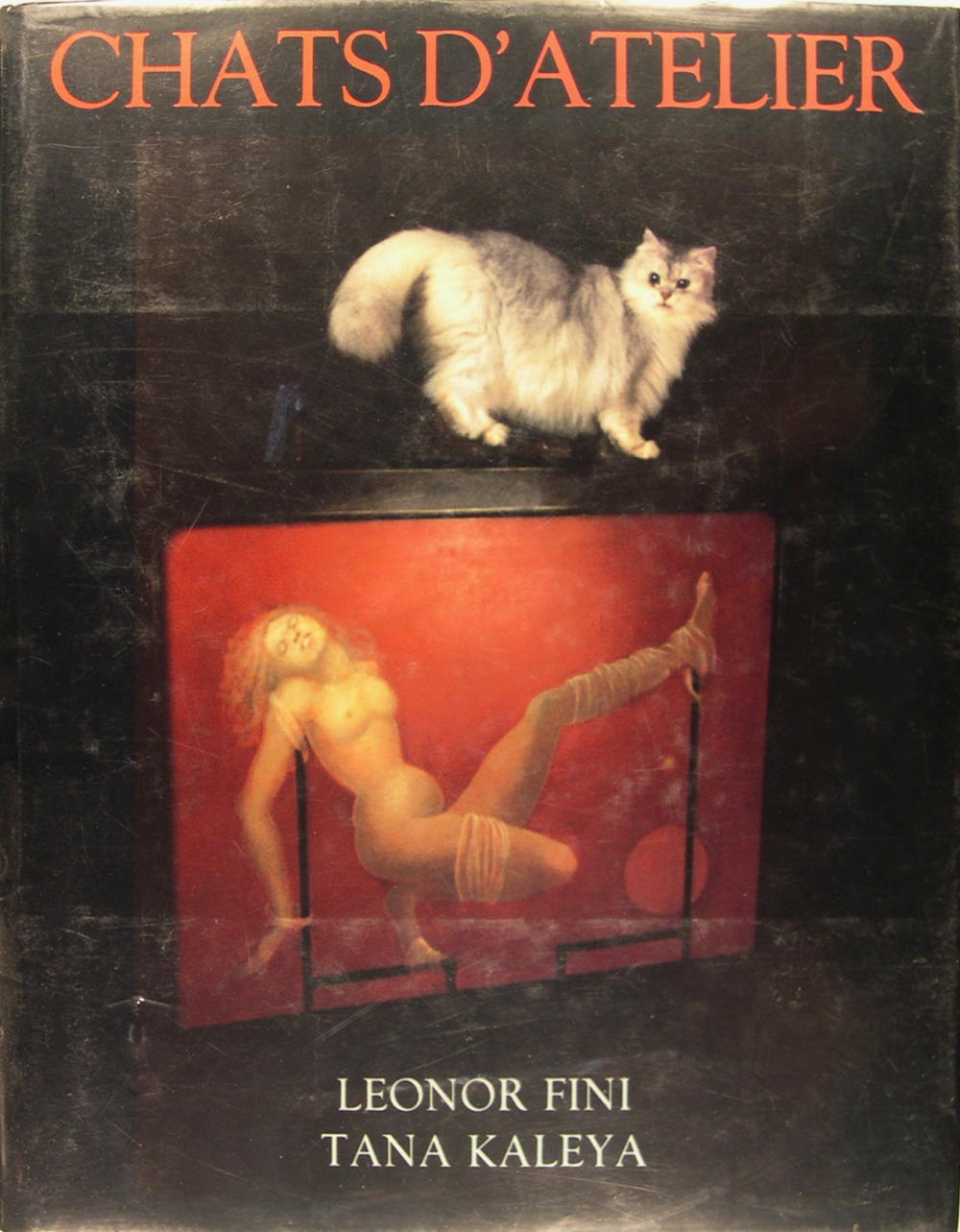 Chats d'atelier - FINI Leonor (KALEYA Tana)