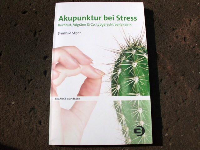 Akupunktur bei Stress. Burnout, Migräne & Co. typgerecht behandeln. (= Reihe: 