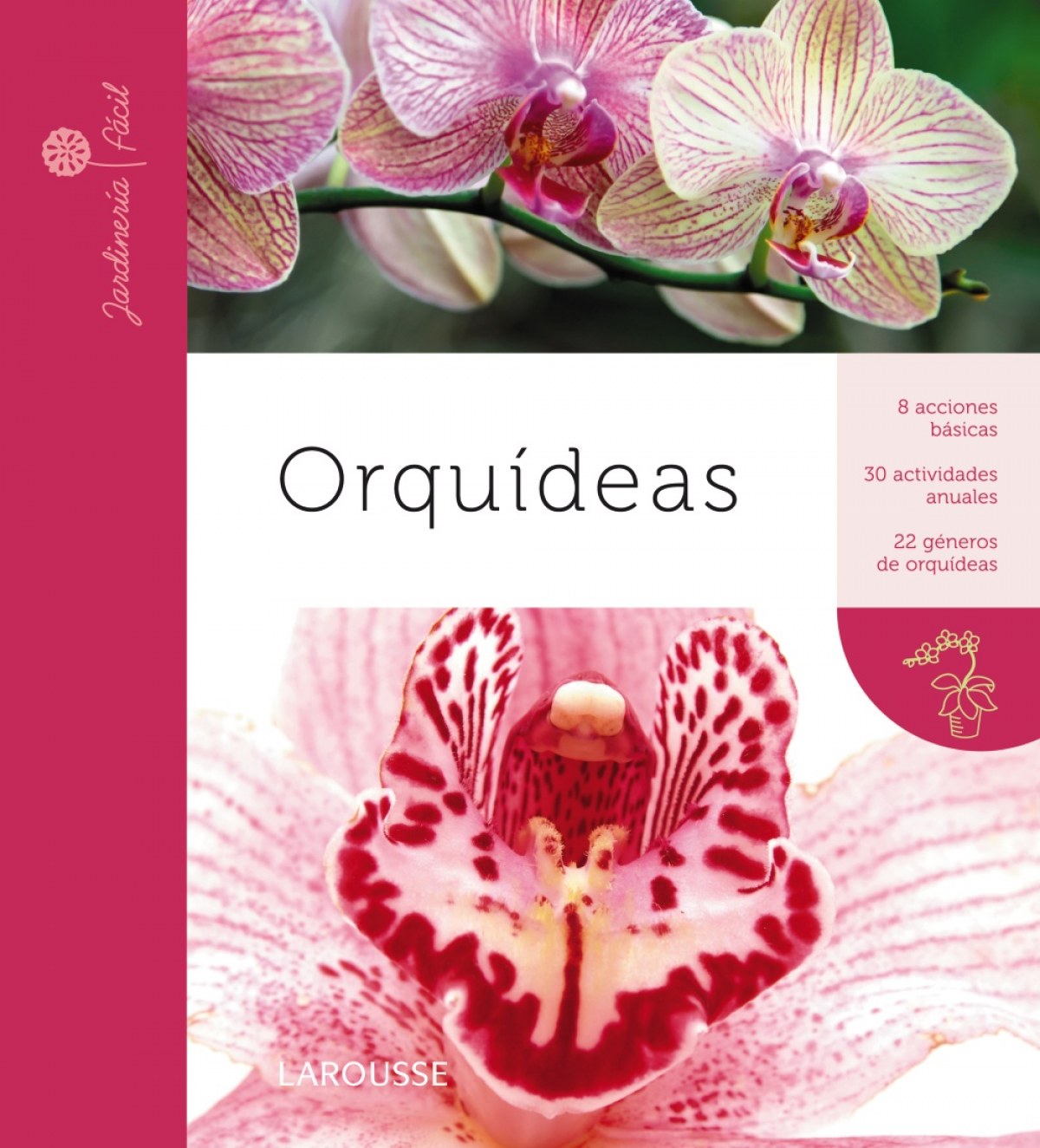 Orquídeas - Vv.Aa.