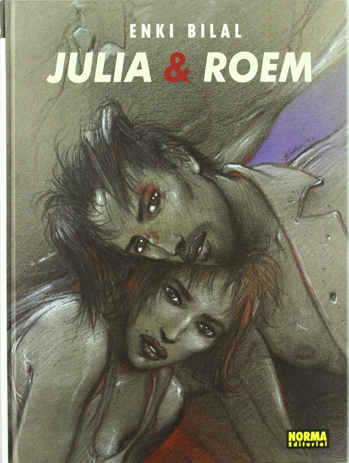 Amazon.com: Julia & Roem (Polish Edition): 9788323746126