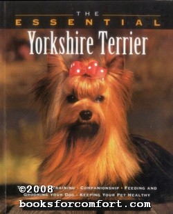 yorkie essentials