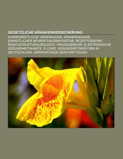 Gesetzliche Krankenversicherung : Kassenärztliche Vereinigung, Krankenkasse, Einheitlicher Bewertungsmaßstab, Rezeptgebühr, Risikostrukturausgleich, Praxisgebühr, Elektronische Gesundheitskarte, E-card, Gesundheitsreform in Deutschland, Geringfügige Beschäftigung