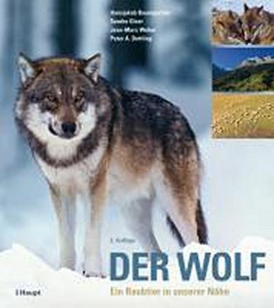 Der Wolf : Ein Raubtier in unserer Nähe - Hansjakob Baumgartner