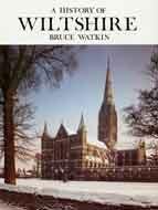 A History of Wiltshire (Darwen county histories series) - Watkin, Bruce