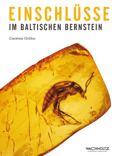 Einschlüsse im baltischen Bernstein - Carsten Gröhn