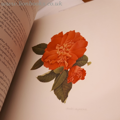 Old Garden Roses Part Two by Wilfred Blunt & James Russell Very Good