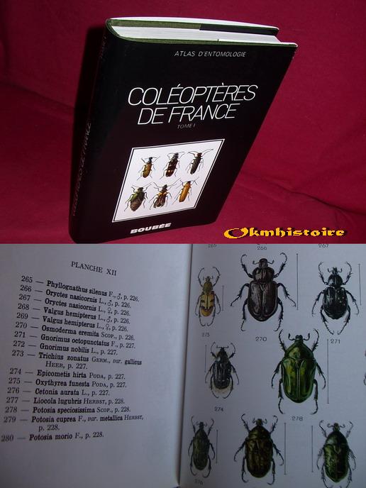 Atlas des Coléoptères de France , Belgique , Suisse . -------- TOME 1 : Généralités - Carabes - Staphylins - Dytiques - Scarabées - AUBER ( Luc ) [ Aquarelles de Mlle Germaine Boca ]