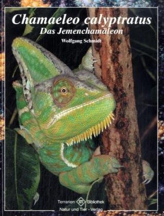 Chamaeleo calyptratus: Das Jemenchamäleon Terrarien Bibliothek. - Schmidt, Wolfgang