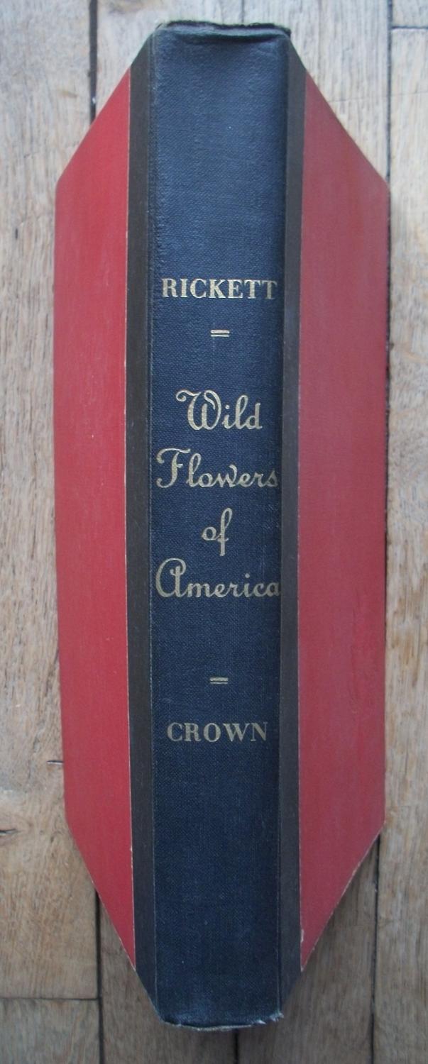 WILD FLOWERS of AMERICA by by H. W. RICKETT Bon Couverture rigide