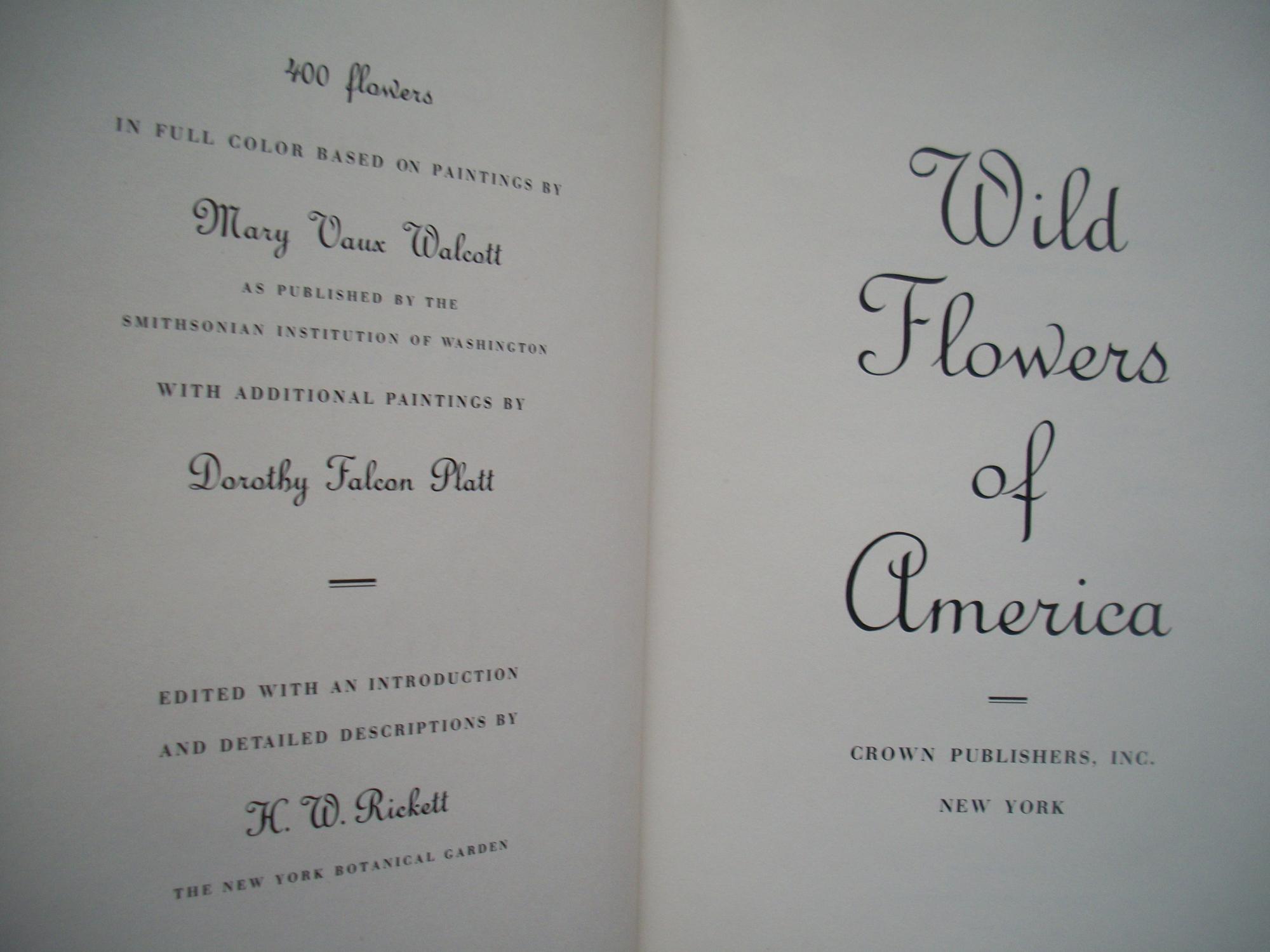 WILD FLOWERS of AMERICA by by H. W. RICKETT Bon Couverture rigide