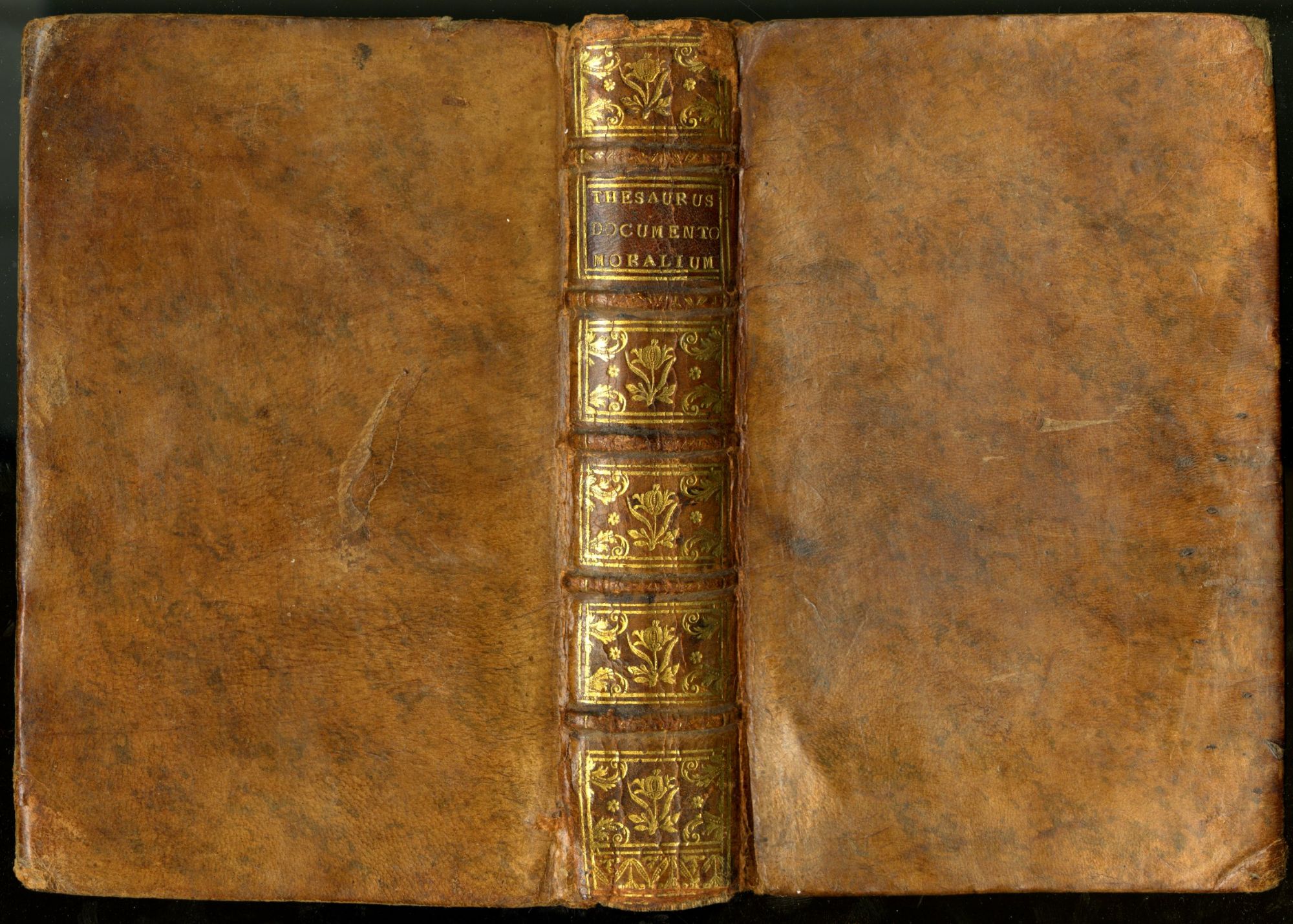 Thesaurus documentorum moralium ex variis tum sacris, tum profanes