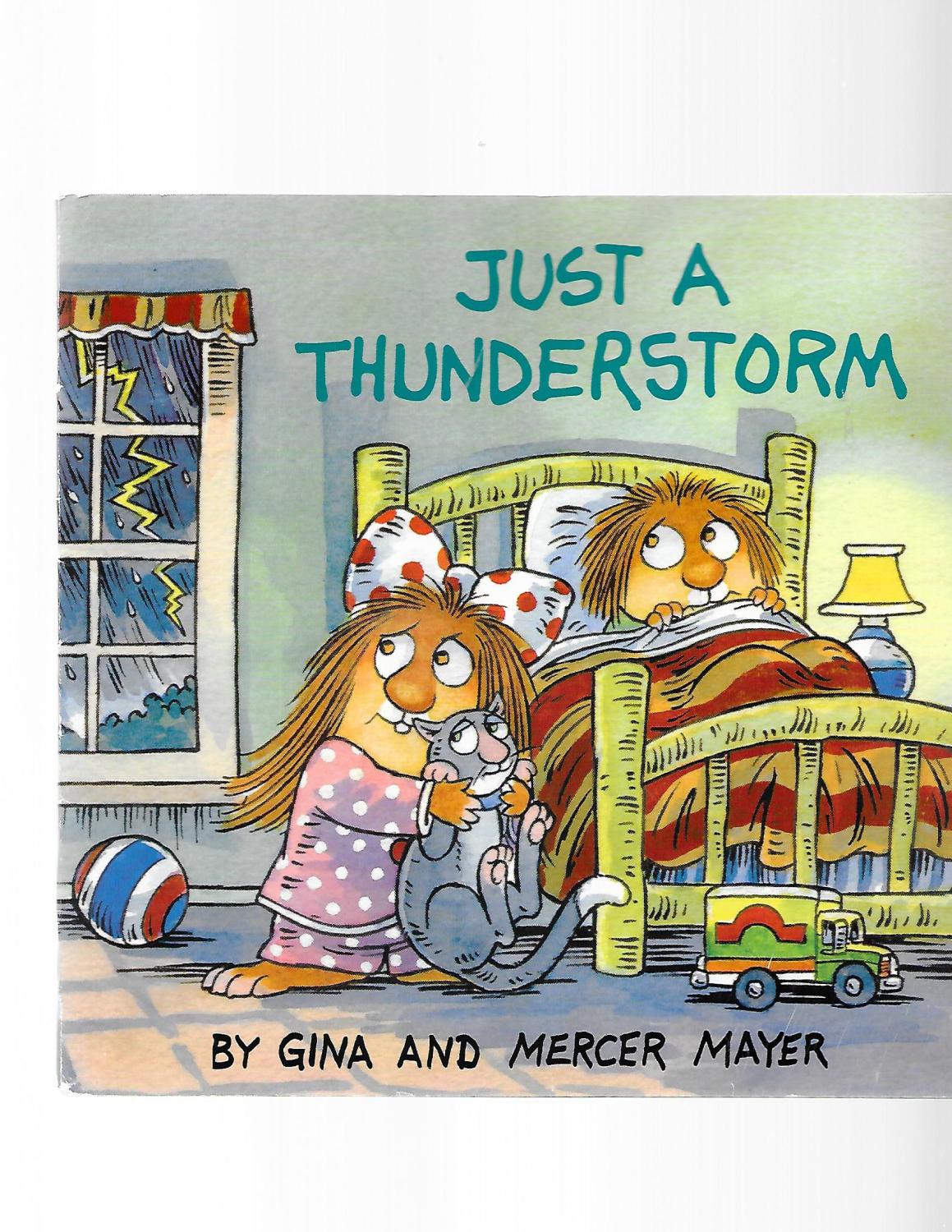 Just a Thunderstorm (Look-Look) - Gina Mayer; Mercer Mayer
