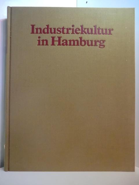 Industriekultur in Hamburg. Des Deutschen Reiches Tor zur Welt - Plagemann, Volker (Hrsg.)