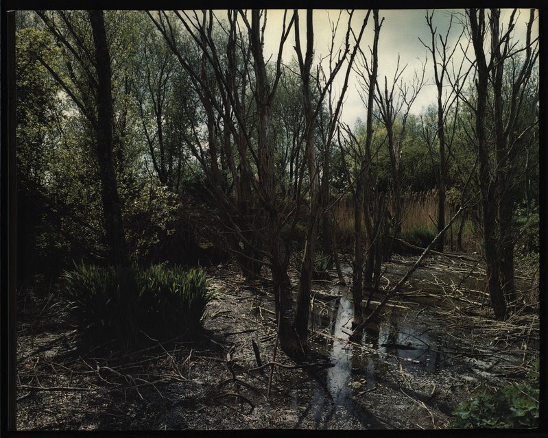 Giflandschap / Poisoned landscape. Holländisch-Englisch. - Wout, Berger und Wout Berger,