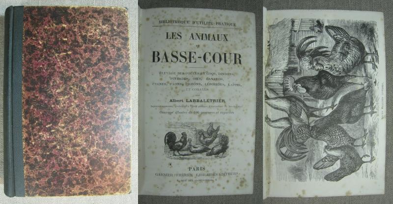 Lot Animaux De Basse-Cour Quiralu - Paon, Lapin, Coq, Pintade, Dindon - Métal Ancien