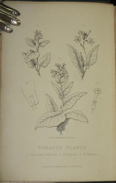 Tobacco: Its History and Associations: Including an Account of the ...