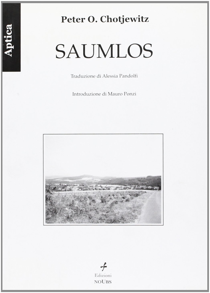 Saumlos - Chotjewitz Peter O