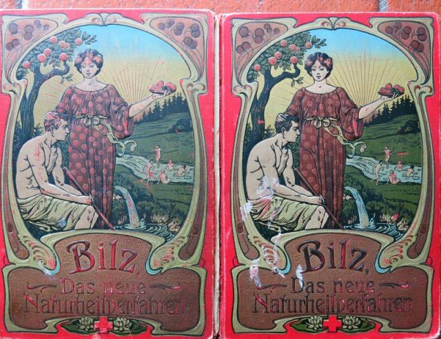 F E Bilz - AbeBooks F E Bilz - AbeBooks