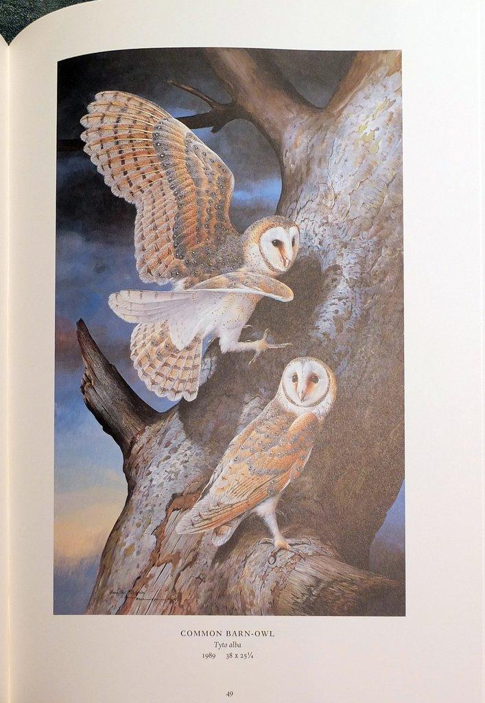 Wild Birds of America: The Art of Basil Ede. by EDE, Basil Wild Birds of America: The Art of Basil Ede. by EDE, Basil