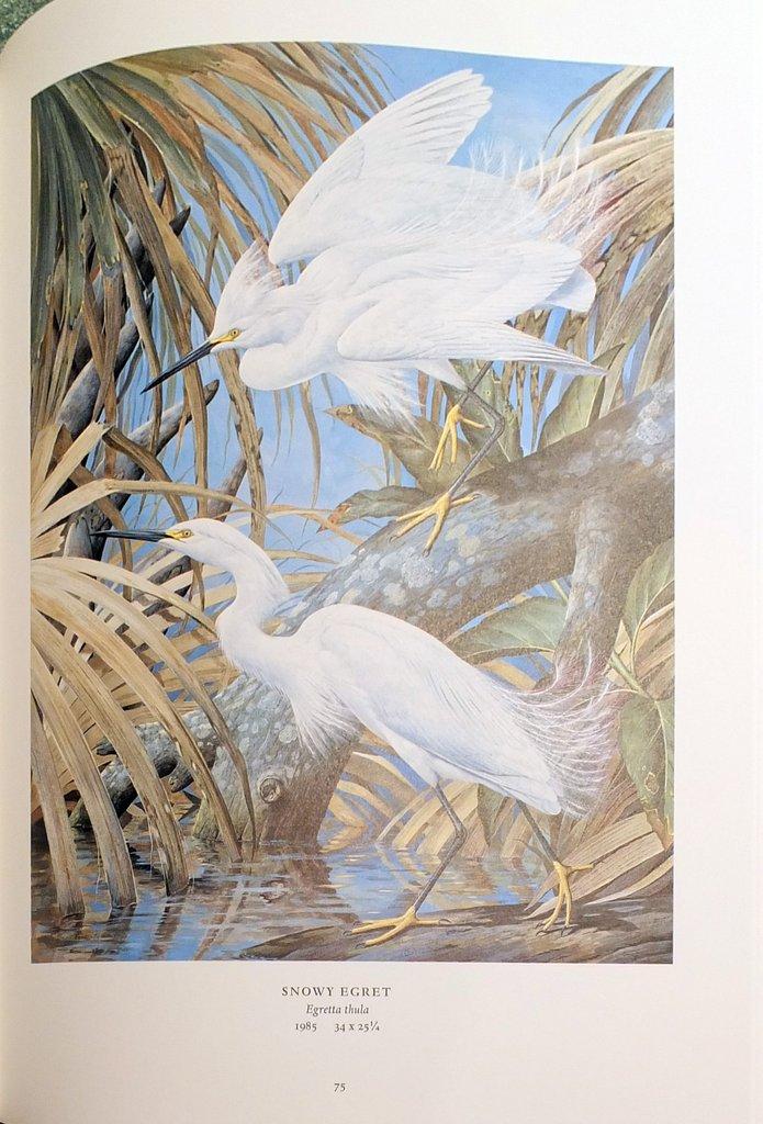 Wild Birds of America: The Art of Basil Ede. by EDE, Basil Wild Birds of America: The Art of Basil Ede. by EDE, Basil