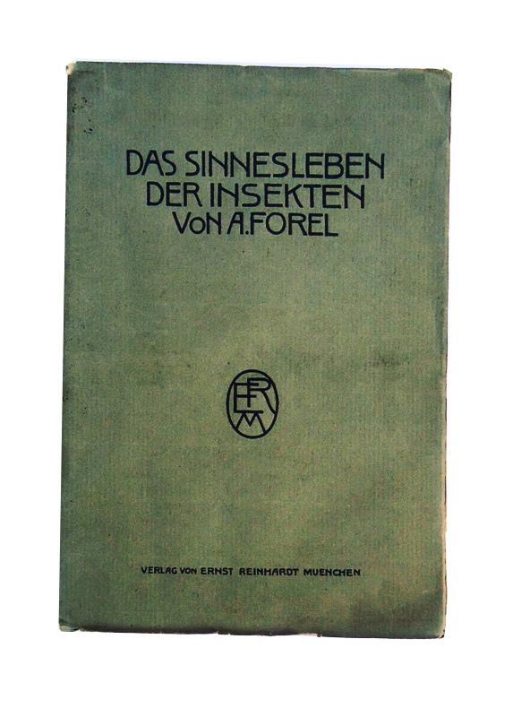 Das Sinnesleben der Insekten. Eine Sammlung von experimentellen und kritischen Studien über Insektenpsychologie. - Forel, August