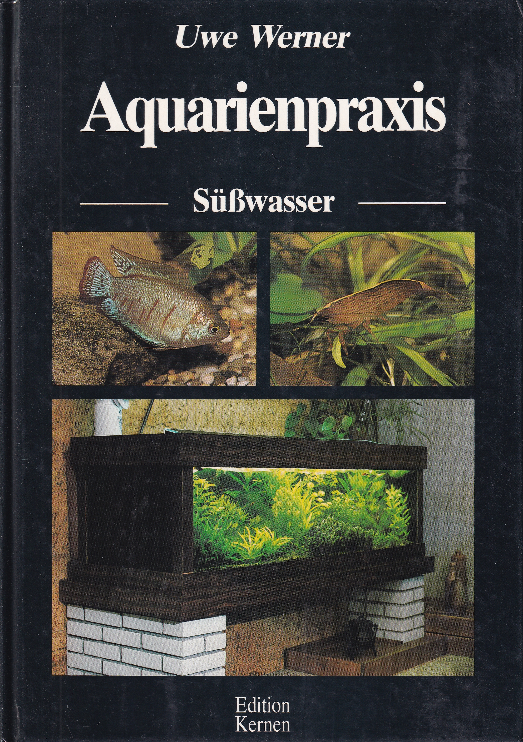 Aquarienpraxis Süßwasser - Werner,Uwe