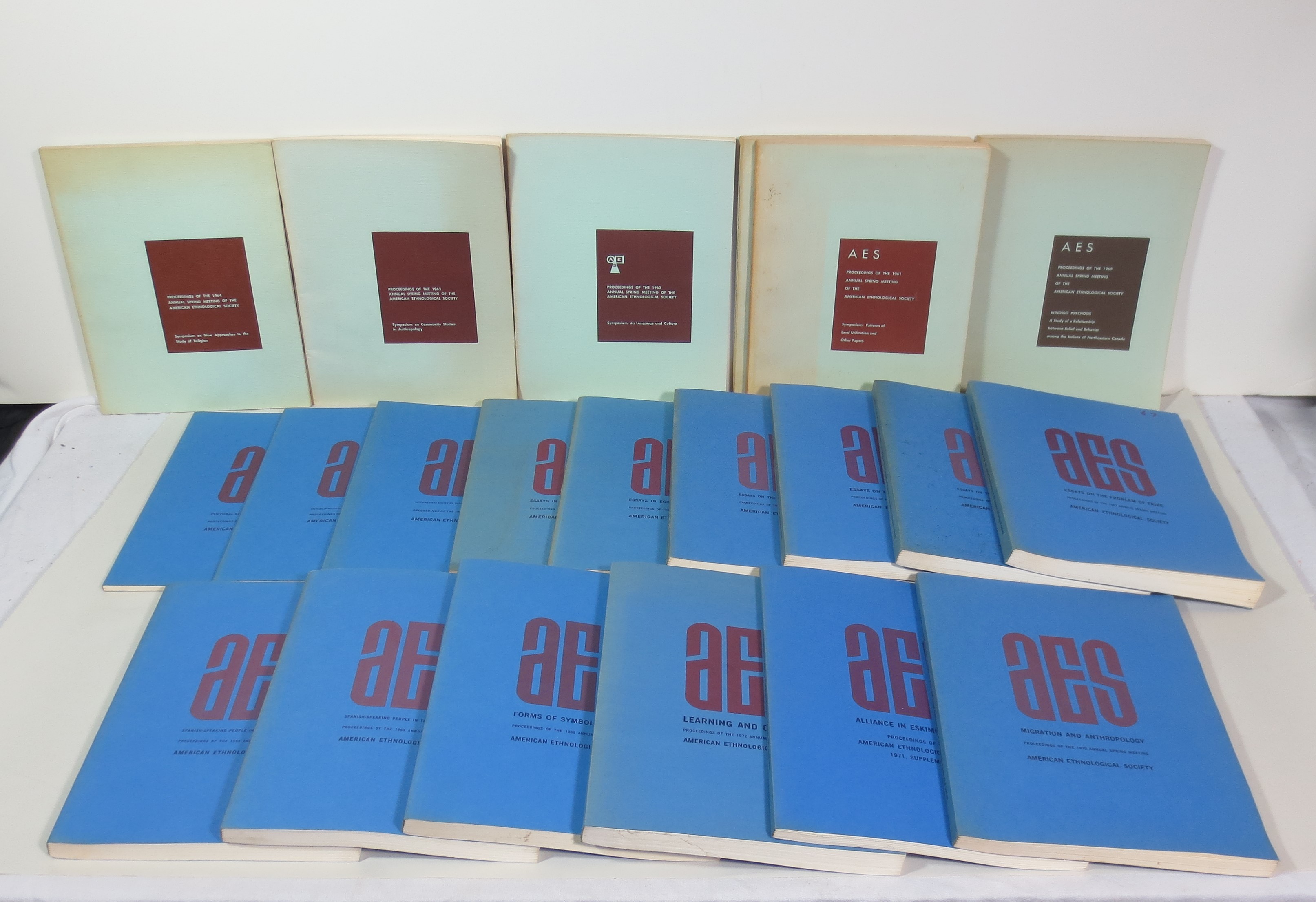 Proceedings of the Annual Spring Meeting of the American Ethnological