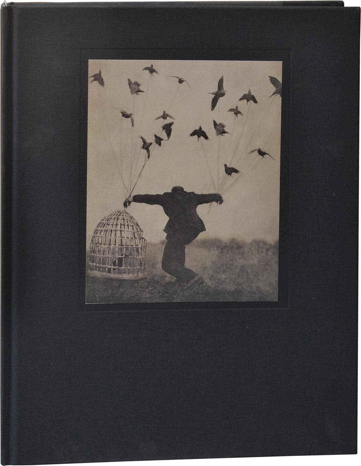 The Architect's Brother (First Edition) by Robert