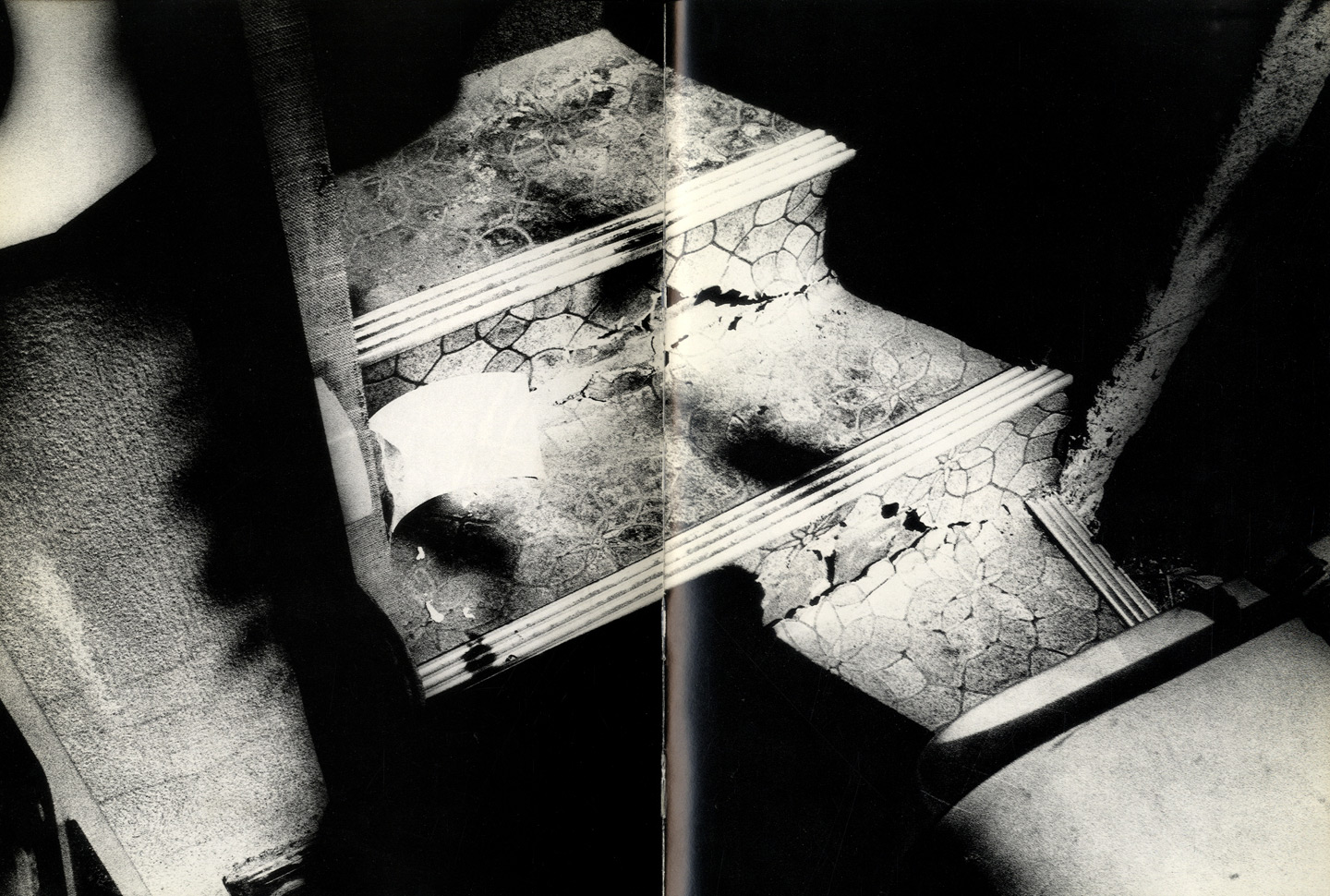 Daido Moriyama: Hikari to kage (Light and Shadow) [SIGNED] by