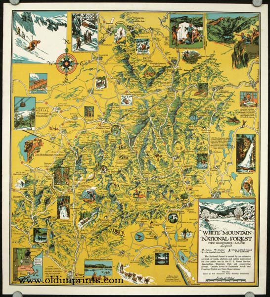 White Mountain National Forest Poster Original New Hampshire Retro Art Print 144 
