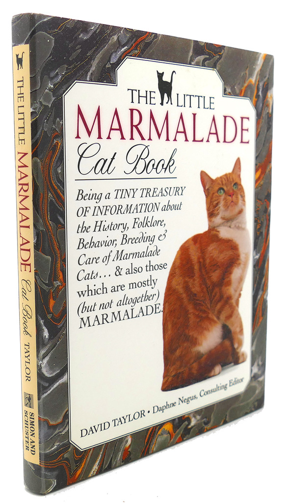 The Little Tabby Cat Book [Book]
