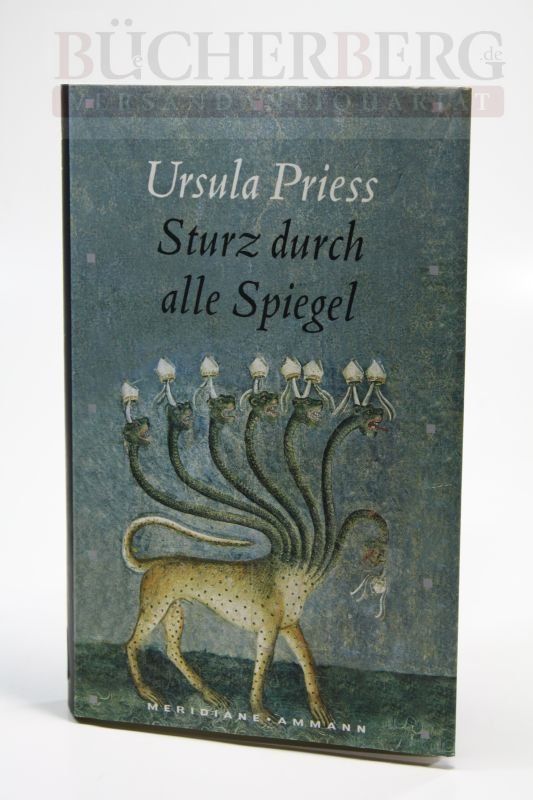 Sturz durch alle Spiegel Eine Bestandsaufnahme - Priess, Ursula