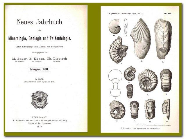 Neues Jahrbuch für Mineralogie, Geologie und Paläontologie ( Jahrgang 1910 I. Band) - Bauer/Koken/Liebisch (Hrsg.)