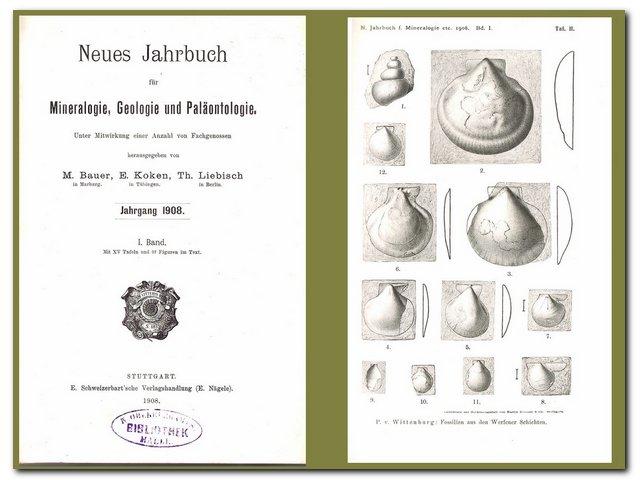 Neues Jahrbuch für Mineralogie, Geologie und Paläontologie ( Jahrgang 1908 I. Band) - Bauer/Koken/Liebisch (Hrsg.)