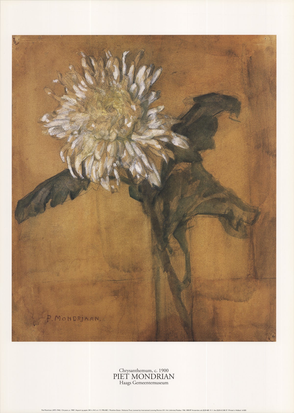 Dutch, 1872-1944 Piet Mondrian Details about   Chrysanthemum 