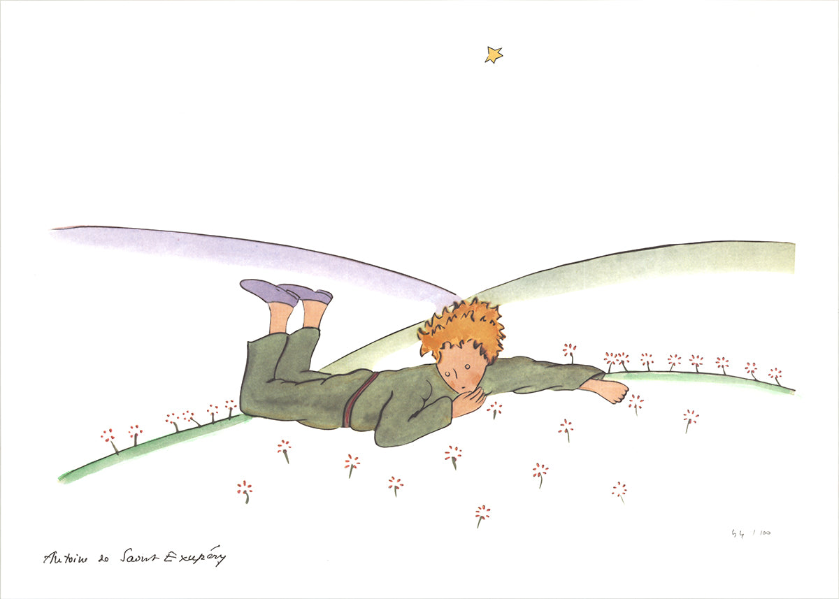 My little prince drawing - The Little Prince - Posters and Art Prints